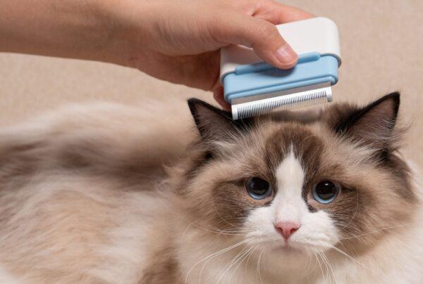 Pet Life 'Zipocket' 2-in-1 Underake and Stainless Steel Travel Grooming Pet Comb - Image 5