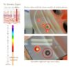 (new) Made in KOREA led face mask light therapy led mask red light IR photon skin rejuvenation - Image 7