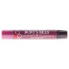Burts Bees Lip Shimmer - Watermelon by Burts Bees for Women - 0.09 oz Lip Shimmer